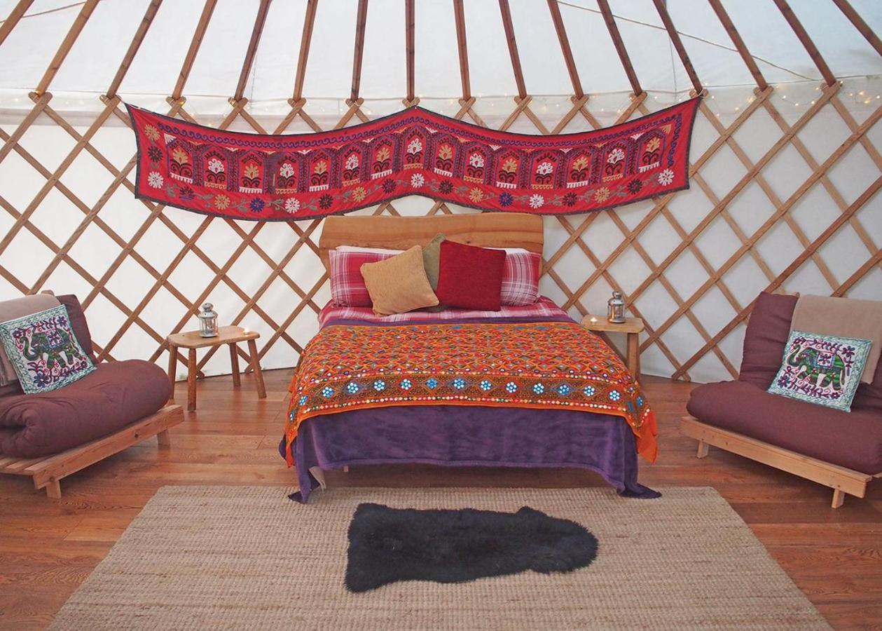 Florence Springs Glamping Gumfreston Extérieur photo