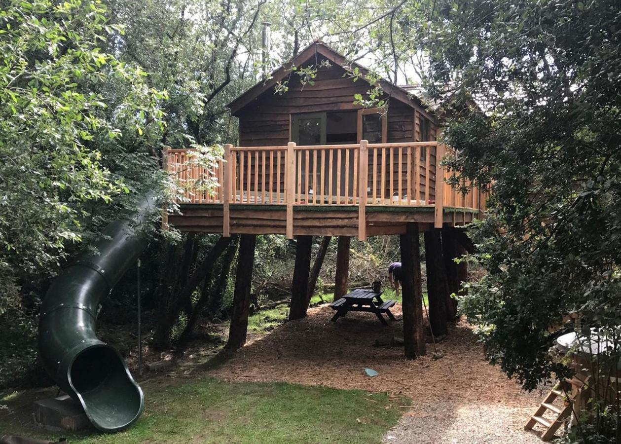 Florence Springs Glamping Gumfreston Extérieur photo